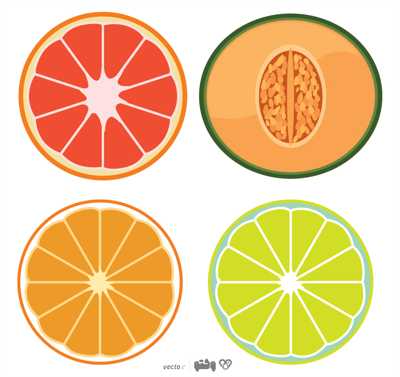 وکتور میوه طالبی ، ملون ، پرتقال